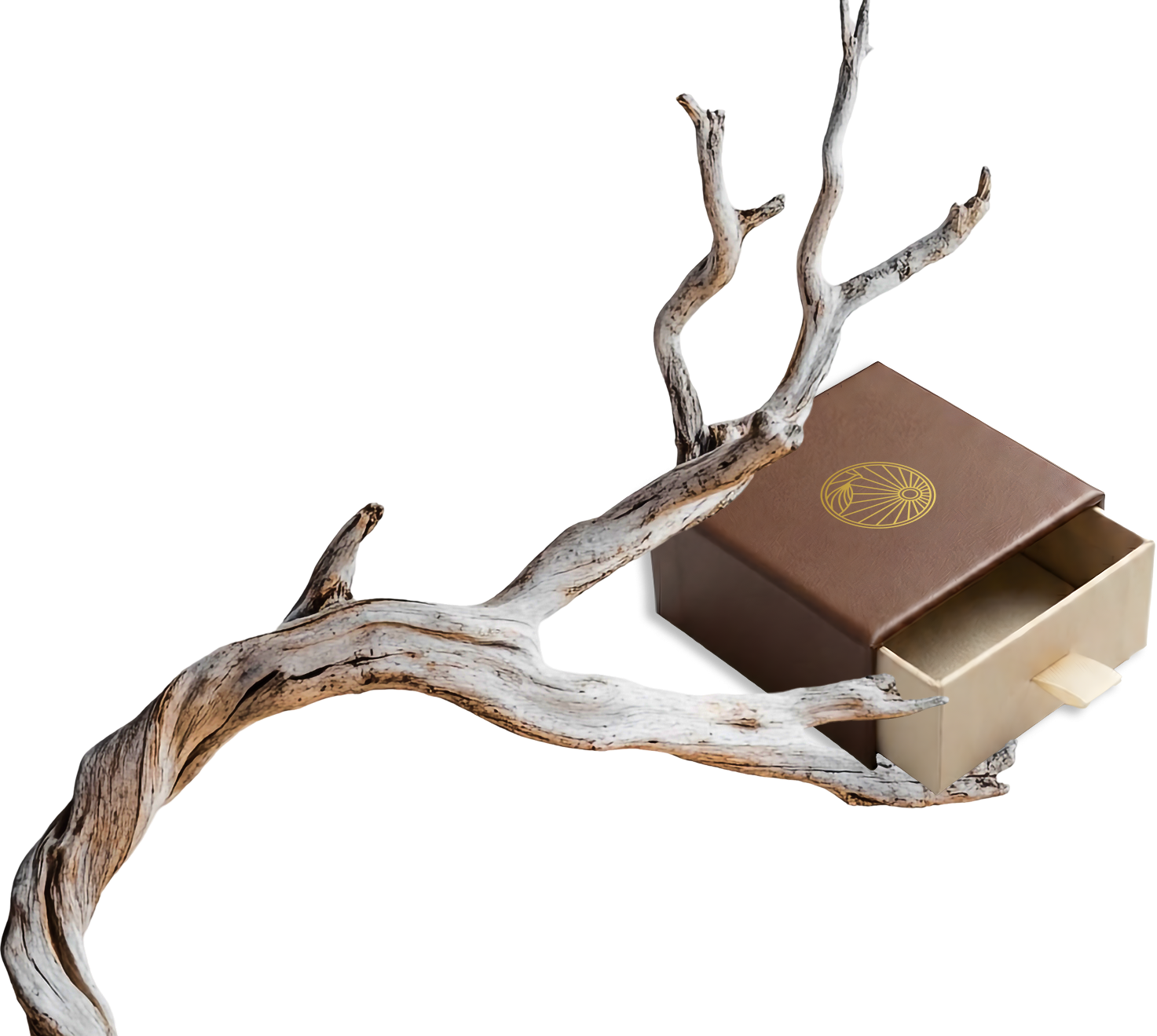 Дерево символів